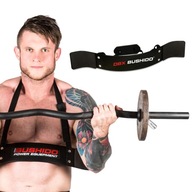 ARM BLASTER BICEPS TRAINER STABILNÝ ERGONOMICKÝ DBX BUSHIDO ARM BLASTER BICEPS TRAINER STABILNÝ ERGONOMICKÝ DBX BUSHIDO