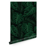 Tapeta s tropickými listami monstera T0520 Tapeta s tropickými listami monstera T0520