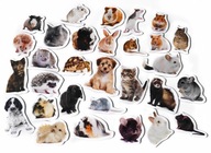 Spoznávam magnetky na chladničku PETS CARDBOARD Spoznávam magnetky na chladničku PETS CARDBOARD