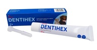 DENTIHEX 20g lepiaca zubná pasta pre psov a mačky