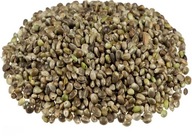 Semená kapra Konopné/Konopné semienko 10kg