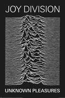 Plagát JOY DIVISION 61x91cm Plagát JOY DIVISION 61x91cm