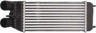 THERMOTEC INTERCOOLER DAP003TT THERMOTEC INTERCOOLER DAP003TT
