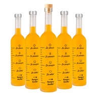 5x Futura Fľaša 0,5l, sklenená odmerka na víno, mat 5x Futura Fľaša 0,5l, sklenená odmerka na víno, mat