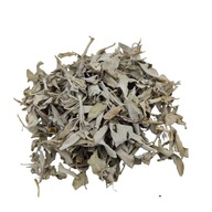 Listy šalvie bielej 100 g Listy šalvie bielej 100 g