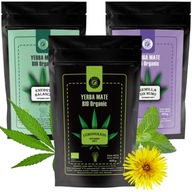Najlepšie Yerba Mate v Poľsku - BIO BIO 1,2kg Najlepšie Yerba Mate v Poľsku - BIO BIO 1,2kg