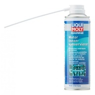 LIQUI MOLY Spray chráni motor pred koróziou LIQUI MOLY Spray chráni motor pred koróziou