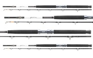 DAIWA TANACOM MORSKÝ RYBÁRSKY Prút 210/400-1000g