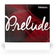 D \ 'Addario Prelude J814 3/4 G
