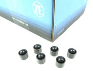 ZF MECHATRONICA PIESTY 6HP19 6HP21 6HP26 6HP28 ZF MECHATRONICA PIESTY 6HP19 6HP21 6HP26 6HP28