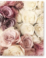 ROSE FLOWERS plagát 40x50 cm #104 ROSE FLOWERS plagát 40x50 cm #104