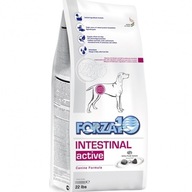 Forza10 Intestinal Active 10kg