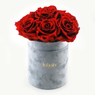 Velúrová krabička Red Eternal Roses Infinity Rose Velúrová krabička Red Eternal Roses Infinity Rose