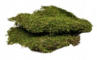 Terra Natura Teráriový substrát machové listy 50g Terra Natura Teráriový substrát machové listy 50g