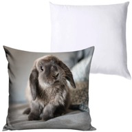 VANKÚŠ DO ŠKOLSKEJ ŠKOLKY 40X40 BABY JASIEK RABBIT VANKÚŠ DO ŠKOLSKEJ ŠKOLKY 40X40 BABY JASIEK RABBIT
