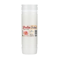 Max Pol Vložka do sviečky DALIA 5 17x Max Pol Vložka do sviečky DALIA 5 17x