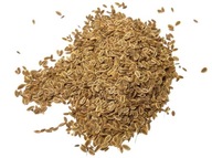 SEMIENKA KOPOR ZÁHRADNÉHO 500g SEMIENKA KOPOR ZÁHRADNÉHO 500g