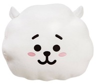 BT21 RJ - plyšový nadýchaný vankúš 32 cm