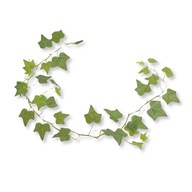 BioPlant Hanging Ivy Small Umelý brečtan do 114 cm terária BioPlant Hanging Ivy Small Umelý brečtan do 114 cm terária