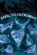 Plagát Harry Potter Expecto Patronum 61x91,5 cm Plagát Harry Potter Expecto Patronum 61x91,5 cm