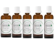 Sada olejov do sauny Forest Mix (5x15 ml) Bassau Sada olejov do sauny Forest Mix (5x15 ml) Bassau
