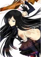 Plagát Anime Manga Castlevania CAS_016 A2 (vlastné)