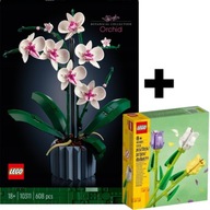 LEGO CREATOR EXPERT ICONS ORCHIDEA 10311 + LEGO 40461 DARČEKOVÁ SADA