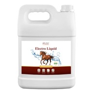 Over Horse Electro Tekutý doplnok na vyrovnávanie elektrolytov pre kone 5 l Over Horse Electro Tekutý doplnok na vyrovnávanie elektrolytov pre kone 5 l