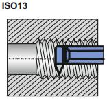 Rezačka vnútorného závitu ISO13 NNGd 12x12 P20 S2