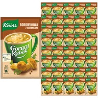 Knorr Hot Mug of boletus toasty 15g 40 kusov