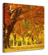 Jesenná krajina v parku Obraz na plátne 40x40 cm