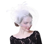 SVADOBNÁ KOLÉGIA ECR FASCINATOR NA VLASY 494 SVADOBNÁ KOLÉGIA ECR FASCINATOR NA VLASY 494