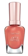 SALLY HANSEN LESK NA NECHTY 300 NAMÁČTE PRI ZÁPADE SLNKA SALLY HANSEN LESK NA NECHTY 300 NAMÁČTE PRI ZÁPADE SLNKA