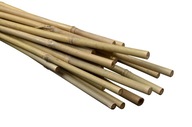 Bambusové podperné tyče 75 cm -10 ks.