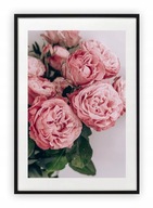 Plagát 40x50 cm Vzory ružových kvetov