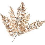 Ozdobná zimná listová papraď zlatá vetvička