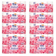 Toaletný papier Foxy Silk 80 roliek - 10 x 8 ks