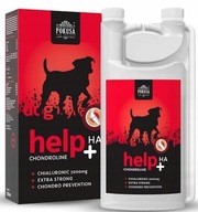 Pokušenie chondroline help+ha 1000 ml pohybu Pokušenie chondroline help+ha 1000 ml pohybu