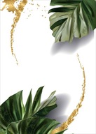 Plagát Monstera Plagáty na rám B2 70x50cm Plagát Monstera Plagáty na rám B2 70x50cm