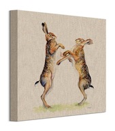 Obraz na plátne od Jane Bannon Hare Fight 30x30 cm Obraz na plátne od Jane Bannon Hare Fight 30x30 cm