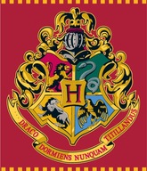 DEKA HARRY POTTER GOLDEN Crest HOGWARTS PLED DEKA DEKA HARRY POTTER GOLDEN Crest HOGWARTS PLED DEKA