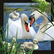3D magnet. Swan