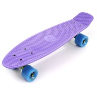 Mestský skateboard fishboard kartička Meteor
