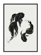OBRAZOVÝ PLAGÁT V RÁME 53x73 cm Ryba P920 OBRAZOVÝ PLAGÁT V RÁME 53x73 cm Ryba P920