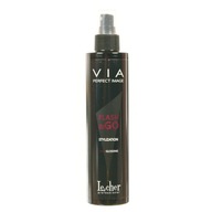 Lecher Via Flash & Go leštiaci sprej 250 ml Lecher Via Flash & Go leštiaci sprej 250 ml