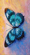 UTERÁK NA PLÁŽ 100x180 BLUE BOTTERFLY H42 UTERÁK NA PLÁŽ 100x180 BLUE BOTTERFLY H42