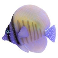Dekorácia do akvária s fluorescenčnými fialovými rybičkami Dekorácia do akvária s fluorescenčnými fialovými rybičkami
