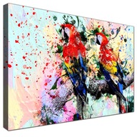 Obrazy do spálne, farebné papagáje, plátno 90x60 Obrazy do spálne, farebné papagáje, plátno 90x60