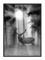 OBRAZOVÝ PLAGÁT V RÁME 33x43 cm Jeleň P660 OBRAZOVÝ PLAGÁT V RÁME 33x43 cm Jeleň P660