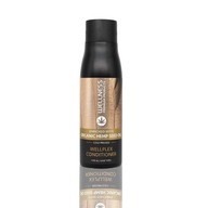 Wellness Organický konopný olej Wellplex regeneračný kondicionér 500 ml Wellness Organický konopný olej Wellplex regeneračný kondicionér 500 ml